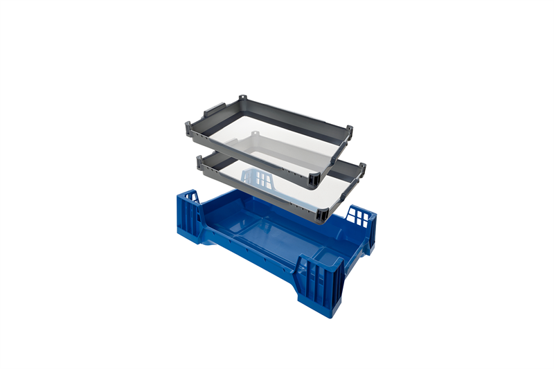 Insect Inlays Beekenkamp launches Beetle inlay tray. For keeping beetles and eggs ...